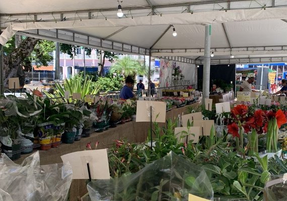 Maceió recebe feira com mais de 200 espécies de flores a partir de R$ 5