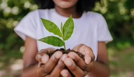 Prefeituras têm até o dia 14 para convocar as conferências municipais do Meio Ambiente