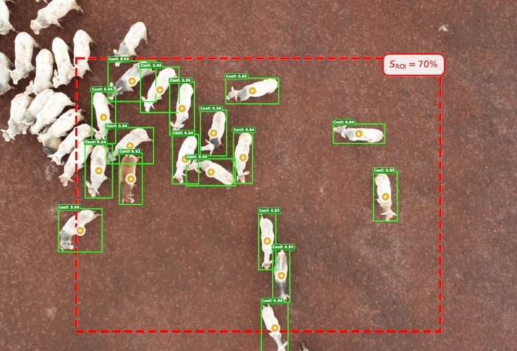 Drones e inteligência artificial indicam melhor momento de abate do gado