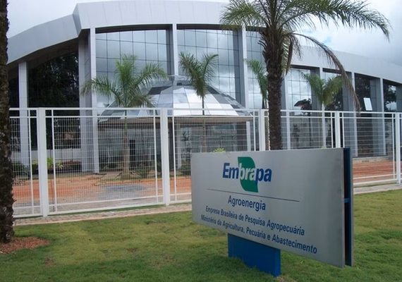 Embrapa abre concurso público para 1.027 vagas