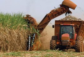 Produção de açúcar do Norte e Nordeste é 4,5% maior que safra anterior