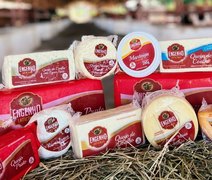 Laticínio em AL será o primeiro do Nordeste voltado para produção de queijos finos
