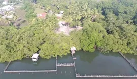 Substâncias tóxicas são encontradas no Rio Tatuamunha após morte de peixes-boi