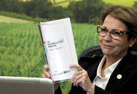 Brasil pode ampliar potencial de agricultura irrigada, diz ministra em evento