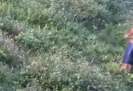 Homem é filmado cometendo ato obsceno próximo a academia em Arapiraca