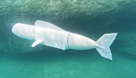 Conheça o peixe-robô que coleta DNA no fundo do oceano