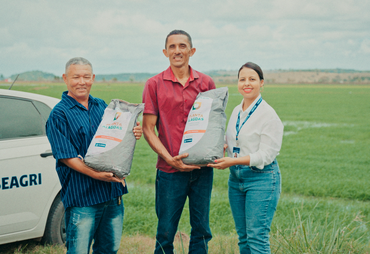 Secretaria de Agricultura apresenta resultados do Alagoas Mais Arroz