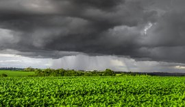 Clima de outono preocupa safra com calor e chuva irregular