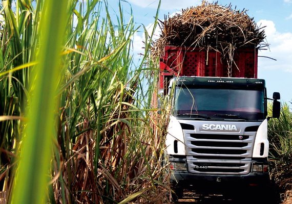 Asplana aposta no otimismo do setor