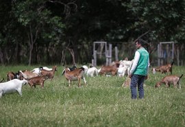 Ações e programas do Senar Alagoas beneficiam mais de 21 mil pessoas em 2022