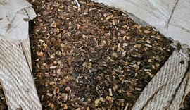 Fiscalização apreende mais de 21 toneladas de café irregular em compras públicas no Paraná