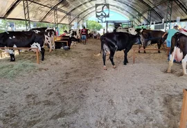 41ª Expo Bacia Leiteira apresenta programação completa para todo o setor