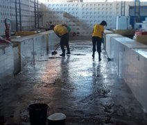 Mercado do Benedito Bentes recebe mais uma edição do Mutirão de Limpeza