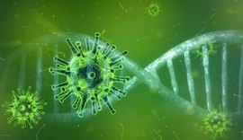 Estado registra 22 óbitos pela Covid-19 em 24 horas