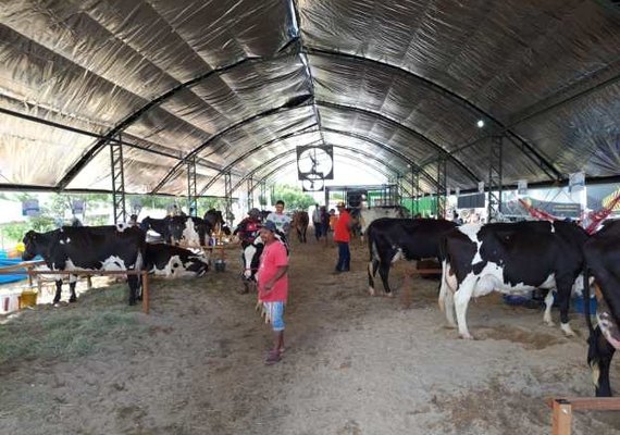 Alagoas na Vitrine do Leite: a maior exposição especializada em pecuária de leite do Nordeste