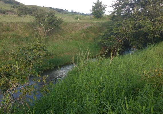 Pindorama participa da 1ª Análise da Qualidade da Água do Rio Piauí