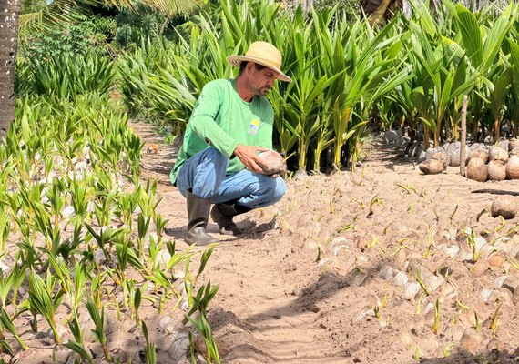 Coopaiba promove Dia do Campo com foco em inovação e agricultura familiar