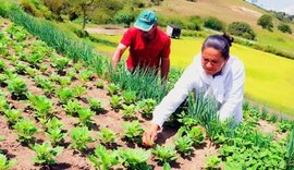 Acordo entre Conab e OCB vai beneficiar agricultor familiar