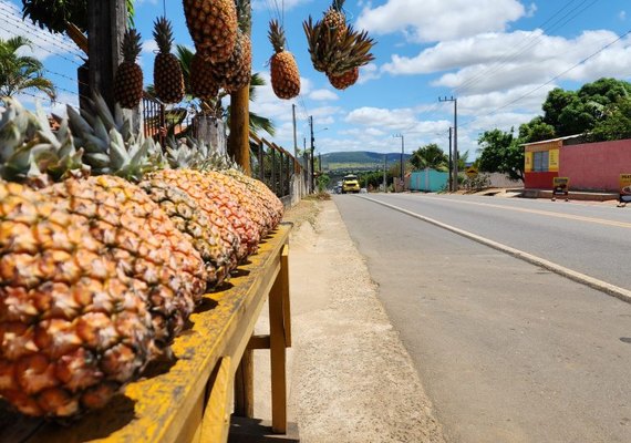 Buscando movimentar a economia local, Arapiraca promove 1° Festival do Abacaxi