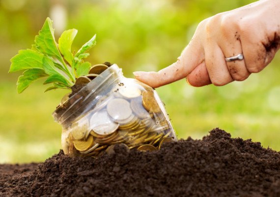 Valor bruto da Produção Agropecuária é de R$ 600 bilhões