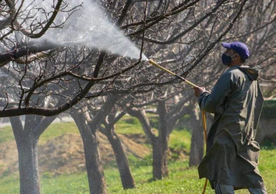 STF derruba regras que reduziam controle de qualidade de agrotóxicos