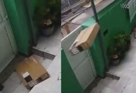 Vídeo: Entregador arremessa caixa com TV por cima de muro no RJ
