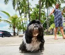 Sesau alerta sobre a importância da vigilância e controle de doenças transmitidas entre animais e seres humanos