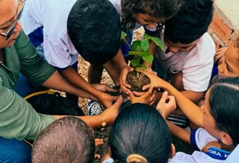 Dia da Árvore: Conasa chega a 1,3 mil mudas plantadas em oito cidades