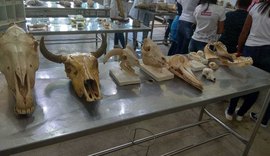 Peças anatômicas de animais serão expostas na Semana do Meio Ambiente