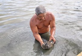 Pescadores sofrem com mortandade de sururu após colapso de mina
