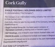 SAF de gigante brasileiro é colocada à venda