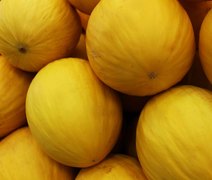 Nordeste se destaca na produção nacional de dez culturas agrícolas