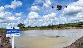 Alagoas Mais Arroz: Colheita em Igreja Nova marca avanço tecnológico no Baixo São Francisco