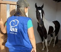 Expoagro 2025: Shopping Mangalarga Marchador oferece vantagens exclusivas de compra