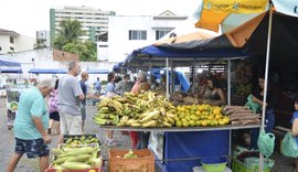 Cisternas e barracas para agricultores de Palmeira serão entregues nesta segunda