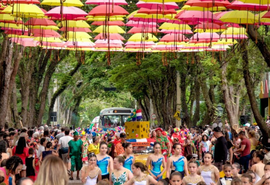 Fevereiro chegou com preparativos para o Carnaval em diversos municípios do país