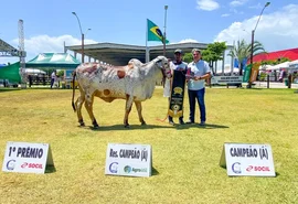 Expoagro 2024 promete recordes e mais atrações para o público e criadores