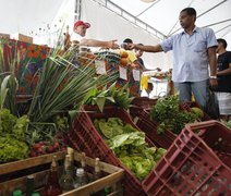 Decreto adia para 2027 exigência de CNPJ para autônomos e produtores rurais