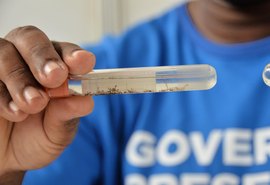 Ministério da Saúde aponta queda de 58% nos casos de dengue em Alagoas