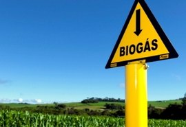 Embrapa faz acordo de 12 meses com associações para estudar impacto do biogás