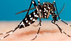 Bauru registra 6 mil casos de dengue em 2019