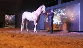 Agro CPMF e Haras Porto Rico promovem 2º etapa do Vaquejada e Trabalho