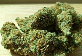 Descriminalização do porte de maconha para uso pessoal começa a valer a partir de hoje