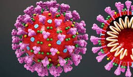 Alagoas tem 3.816 casos confirmados da Covid-19 e 210 óbitos