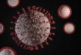 Estado registra 541 casos e 20 óbitos pela covid-19 em 24 horas