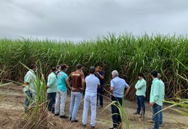 Tecnologia aumenta produção de cana em Pindorama