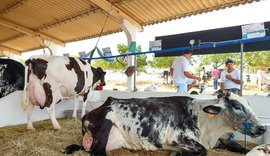 37º Expo Bacia Leiteira supera expectativas do setor