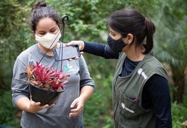 Senar abre seleção para cursos técnicos em agronegócio, fruticultura e zootecnia