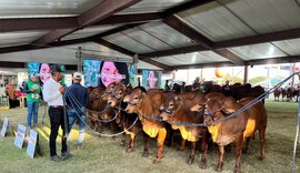 74ª Expoagro Alagoas terá programação para este domingo