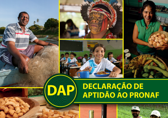 Ministério da Agricultura prorroga validade da DAP por seis meses